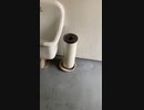 毒母に動きがありました。