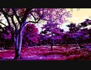 sunset @Chiyuri Nagayama
