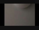 評価【coefont劇場】