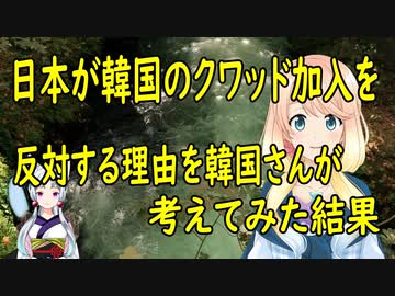 【韓国の反応】韓国のクワッド加入を日本が反対する理由を、韓国さんが一生懸命考えてみた【世界の〇〇にゅーす】