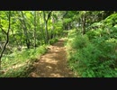 折りたたみ自転車で行く　厚木市　荻野川沿いを走り鳶尾山観光展望台へ 後編