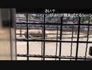 ちょ旅 2022/2/27(日) 9:05開始 (5時間59分)