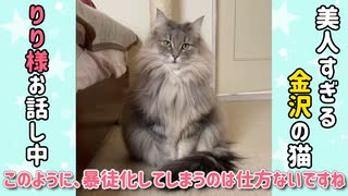 【猫アフレコ動画】エリザベスアナウンサーによる猫ニュース #02 久しぶりのちゅーるに暴徒化する猫達