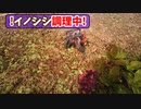 誰もいない村の村長が食糧難を脱出するサバイバルゲーム【Medieval Dynasty】＃2