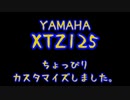 【XTZ125】 ちょこっとカスタマイズ