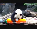 《我不管，我要过六一》