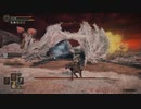 【ELDEN RING】発売日からトロコンするまで【実況】 part63