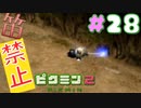 【笛禁止！】笛を吹くことができない主人公の冒険【ピクミン2実況】#28