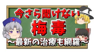 【全てわかる】梅毒って何？症状・治療・予防などをすべて解説！【ゆっくり解説】