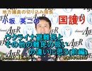 「ウクライナ避難民とその他の難民の扱いの違いに思う　前編ー①」(前半)小坂英二 AJER2022.6.2(1)