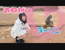 【踊ってみた】おねがいダーリン