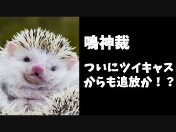 ツイキャスサポート「鳴神裁を利用規約に則り対処します。」