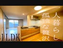 一人暮らし部屋リレーション１LDK賃貸アパート岡山市中区関