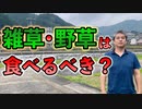 雑草や野草は食べるべき？【#内海聡】 【#うつみん】【世界一嫌われ医者】
