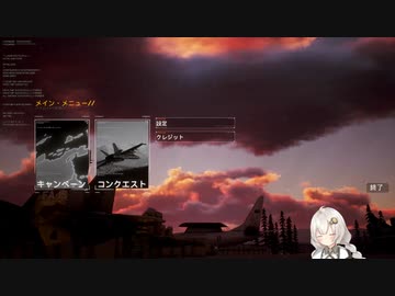 2022.5.14 【ゆかりねっと】Project Wingman1-1