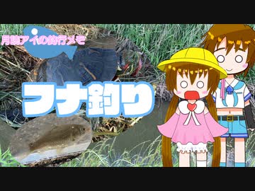 月読アイの釣行メモ part16【VOICEROIDフィッシング】