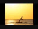 Ταξίδι Ζανζιβάρη | exotictrips.gr