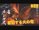 【ゆっくり実況】サンブレイク発売までにストーリー終わらすだけ Part22【MHRise/PC版】