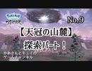ポケモンをほとんど知らないかあさん(５３)がアルセウスやってみた No.９【ポケモンレジェンズアルセウス】