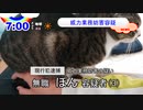 【ニュース】威力業務妨害容疑でネコを逮捕【猫動画】