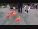 【思いつき Part2】 in 松江フォーゲルパーク