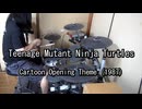 Teenage Mutant Ninja Turtles Theme 叩いてみた