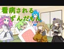 【ソフトウェアトーク劇場】看病されるずんだもん