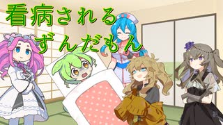 【ソフトウェアトーク劇場】看病されるずんだもん