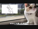 外に出たい猫と出来ない飼い主…