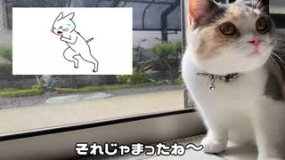 外に出たい猫と出来ない飼い主…