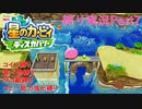 【常】星のカービィ ディスカバリー 縛り実況プレイ Part7