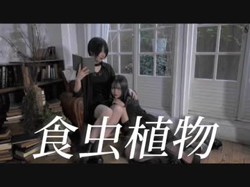 【よふかし×胡蝶*】食虫植物 踊ってみた【初コラボ】