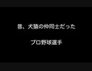 昔、犬猿の仲同士だった　プロ野球選手【2ch 5ch なんj まとめ】