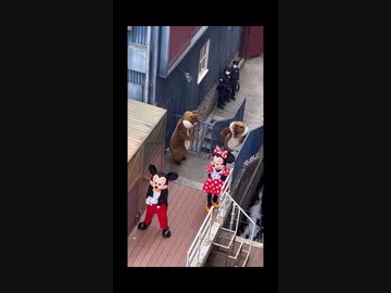 【垢バン覚悟括】ディズニーの舞台裏