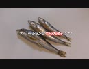 淡水のキスと呼ばれる魚を天ぷらにしてみた