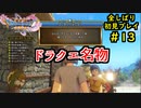 【DRAGON QUEST Ⅺ】人生初のドラクエを全部しばってプレイするPart13【協力実況】