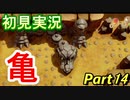【ゼルダの伝説 夢を見る島】 夢見るさかな part14【初見実況】