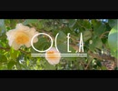 【NNI】ocea - Camellia【エレクトロニカ】