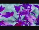 flower & leaves @Nagayama Chiyuri
