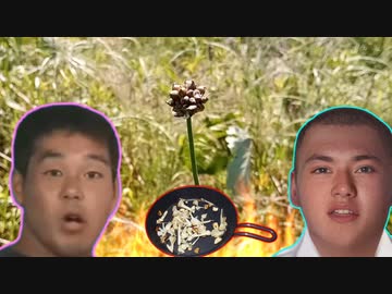 雑草を焼いて食うヤジュミウ