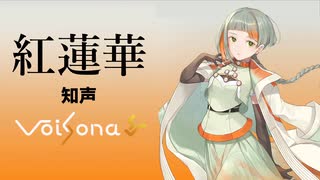 【VoiSona 知声】「紅蓮華」(TVsize)