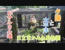 夕陽と太平洋とおサルさん達(日立市かみね動物園)