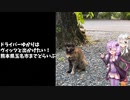 ドライバーゆかりはヴィッツとでかけたい！ 熊本県山鹿市へどらいぶ。【A.I.VOICE車載】