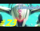 【実況】限りなく初見に近い『ゼノブレイドDE』を全力で楽しむ　#23