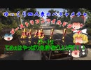 【ゆっくり実況】うp主、ついにクソ虫になる！の巻　ゴーストリコンワイルドランズ♯2　ユリとポリト編その2