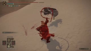 チキン野郎のゲーム日記 エルデンリング編 その19