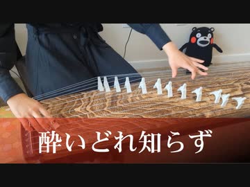 【箏koto】酔いどれ知らず(Yoidoreshirazu)／Kanaria　弾いてみた【Manon】