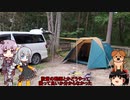 門限が決まっている男の家族旅行記　長野　白馬キャンプ編