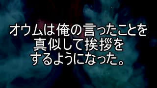 【意味が分かると怖い話】オウム