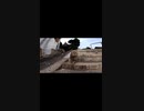 初対面で膝に乗っかる猫の心理がすごいｗｗ#Shorts【野良猫】【感動猫】